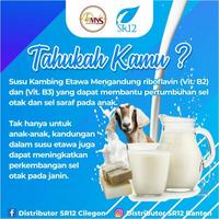 Gambar Sr12 - Go Milku Sr12 - Susu Kambing Etawa dari Little Loves 2 undefined 5 Tokopedia