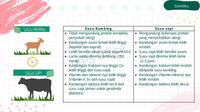 Gambar Ay0! Go Milku SR12 Susu Gemuk Badan Penambah Berat Badan Anak dan Dewasa dari HAJIKA KUIT963 undefined 5 Tokopedia