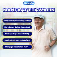 Gambar TERLARIS Etawalin Susu Etawa Herbal Nyeri Tulang Sendi 1 Box READY STOCK dari rena shop66 undefined 5 Tokopedia