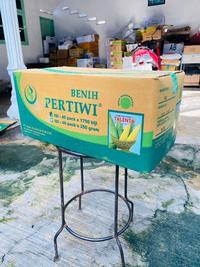Gambar Benih Jagung Manis Hibrida F1 “TALENTA” 250 gram - 250gr dari MULUR PERTANIAN undefined 5 Tokopedia