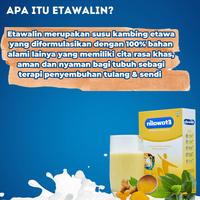 Gambar Inc Ppn- Etawalin - Susu Kambing Rematik / Asam Urat / Kolesterol Paket 2 Box Grab/Gosend dari TokoImpian Company undefined 2 Tokopedia