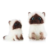 Gambar Main Simulasi Kucing Biru Mewah Siam Sequin Mata Boneka Ragdoll dari nanastore781 undefined 2 Tokopedia