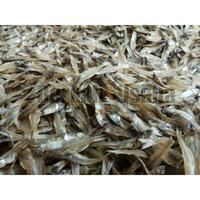Gambar IKAN TERI TAWAR TULANG BAWANG 500GRAM//IKAN TERI KERING//TERI GEPENG DAGING//TERI JENGKI//TERI//IKAN ASIN//CUMI ASIN KERING//BABY CUMI ASIN KERING//TERI NASI//TERI MEDAN SUPER//IKAN ASIN REBUS//IKAN TERI MEDAN//IKAN KERING//BABY CUMI KERING//PEDA MERAH dari lud-2 undefined 5 Tokopedia