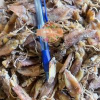 Gambar BABY CUMI CUMI KERING ASIN 1 KG 2-4cm FRESH dari lud-2 undefined 5 Tokopedia