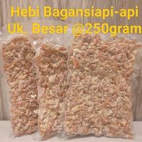 Gambar Ebi Udang Kering Besar 1Kg Bagan Siapi-api Tanpa Pewarna - 500 gram dari YOGAPEDIA_NEW undefined 1 Tokopedia