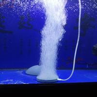 Gambar Bubble Stone Aerator for Aquarium Fish Tank Pump Hydroponic Oxygen Plate Mini Air Pump 40/60/80/100mm 1pcs dari nnnesiahhh undefined 3 Tokopedia