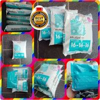 Gambar ORI PUPUK NPK MUTIARA 16-16-16 1 KG PUPUK MUTIARA BIRU 161616 16 16 16 dari GROSIR KERAMIK TERBARUU undefined 1 Tokopedia