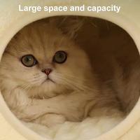 Gambar Pet Cat Bed Small Dog Bed Plush Round Cartoon Frog Mat Winter Warm Deep Sleep Comfort Soft Breathable Cat Dog House Pet Supplies dari Qudrotul12 undefined 3 Tokopedia