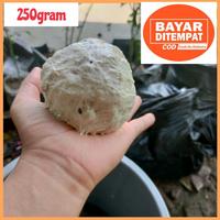 Gambar Pulut burung getah karet asli getah bendo siap pakai lem pikat super lengket dari sembako goreng undefined 4 Tokopedia