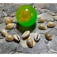 Gambar 1 Pack Mainan Bola Bekel Anak Perempuan 1 Bola Bekel Dan 12 Biji Kerang Kewuk dari Queenshop11111 undefined 3 Tokopedia