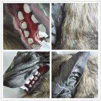 Gambar Topeng Serigala Latex / Latex Mask Wolf / Topeng Halloween / Sarung Tangan Cakar Serigala Wolf Claw dari technoplast 28 undefined 2 Tokopedia