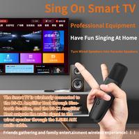 Gambar VAORLO DS-K1 Karaoke Companion Bluetooth 5.3 Wireless Dynamic Microphone KTV DSP Mixer System 3.5MM AUX Type-C Amplifier Host dari rusyatstore undefined 3 Tokopedia