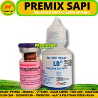 Gambar VAKSIN MEDIVAC GUMBORO B 500 DOSIS + PELARUT - Vaksin Gumboro IBD Aratan Ayam Burung Unggas dari Premix Sapi undefined 2 Tokopedia