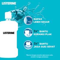 Gambar LISTERINE Listerin obat kumur Antiseptic Mouthwash Obat Kumur Antiseptik 100 ml / 250 ml bau mulut dari Sertba undefined 1 Tokopedia