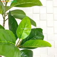 Gambar Pohon Magnolia X2 Semi Latex Artificial Cover Pot Eceng Gondok Medium dari Chocopedia.. undefined 3 Tokopedia