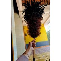 Gambar kemoceng Bulu Ayam Jumbo||Sulak Rawis Bulu Ayam dari toko dina22 undefined 3 Tokopedia