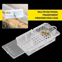 Gambar Kandang Kotak Ratu Lebah 90x50x18cm Beekeeper Bee Transparent Queen Cages Insect Equipment Queen House Beehive Beekeeping Tools | 2.034.0949 | 05568 TM dari Holden-Store undefined 1 Tokopedia