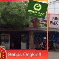 Gambar Pempek Palembang Wak ABA Asli Ikan Gabus-Paket Isi 27 Pempek Kecil dari Ngirup cuko undefined 5 Tokopedia