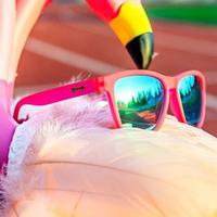 Gambar Goodr Sunglasses Kacamata Olahraga Lensa polarized Pink Series - pink biru ogs - pink fire ogs dari JO_Style undefined 1 Tokopedia