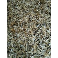 Gambar IKAN TERI TAWAR TULANG BAWANG 500GRAM//IKAN TERI KERING//TERI GEPENG DAGING//TERI JENGKI//TERI//IKAN ASIN//CUMI ASIN KERING//BABY CUMI ASIN KERING//TERI NASI//TERI MEDAN SUPER//IKAN ASIN REBUS//IKAN TERI MEDAN//IKAN KERING//BABY CUMI KERING//PEDA MERAH dari basreng yqn undefined 4 Tokopedia