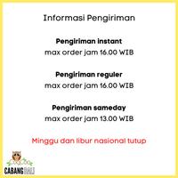 Gambar Emanuel Satisfyer Penguin Air Pulse dari Emanuel Health center undefined 2 Tokopedia