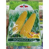 Gambar ORIGINAL Benih Jagung Manis BONANZA F1 (1800 Biji) - Bibit BONANSA 1.800 r Cap Panah Merah READY STOCK dari husebakila undefined 3 Tokopedia