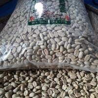 Gambar ASLI Bibit Kopi Siap Semai Arabika Ateng super Pucuk Hijau 1 Kg 2000 biji READY STOCK dari husebakila undefined 2 Tokopedia
