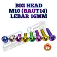 Gambar BAUT TITANIUM BIG HEAD M10 - M10*65mm dari Alettha Market undefined 2 Tokopedia