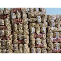 Gambar Amplang ikan tenggiri 700GRAM / kerupuk ikan tengiri PREMIUM super enak - Bulat dari Ayra super store undefined 3 Tokopedia