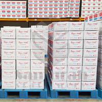 Gambar MJ- KERTAS CONTINUOUS FORM PAPER PRINS 9,5/2 X 11/2 ( WARTEL ) K1 HVS DPH BAGI 4 / CF PAPERPRINS CARBONIZE NCR / KERTAS KOMPUTER KARBON RANGKAP 1 PUTIH dari hematologi77 undefined 3 Tokopedia