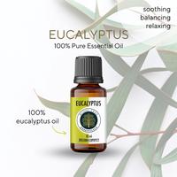 Gambar 100% Pure Essential Oil 10 ml - Therapeutic Grade - Set of 4 dari SONICSTRE undefined 5 Tokopedia