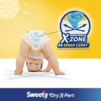 Gambar Sweety Bronze Pants Dry X-pert L 28 Sheet dari Husada Prima undefined 4 Tokopedia