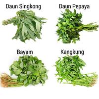 Gambar Kangkung / Bayam / Daun Singkong / Daun Pepaya Jepang 1ikat - D. Pepaya Pahit dari Anita Mart undefined 1 Tokopedia