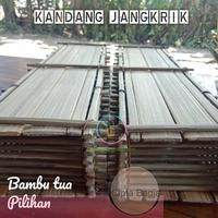 Gambar READY STOK kandang jangkrik aduan 4 slot ruang lebar dari Cipta Bungah undefined 2 Tokopedia
