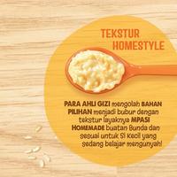 Gambar Nestle Cerelac Homestyle Meals 100g - Bubur Bayi - Tim Sayur 8+ dari ygpentinglakudong undefined 3 Tokopedia