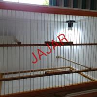 Gambar Box Kandang Breeding, Ternak Kenari Bongkar Pasang dari Raw Pet Essentials undefined 1 Tokopedia