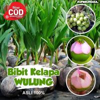 Gambar promo Bibit Unggul Kelapa Wulung Asli Bisa Cod dari Tradisional775 undefined 5 Tokopedia