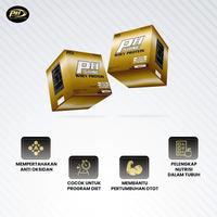Gambar PROMO PH Shine Whey 60 Sachet + Free Blender Mini - Protein 24g Susu dari ansyashoppp undefined 2 Tokopedia
