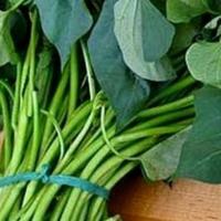 Gambar Daun ubi jalar segar per ikat | sayur mart official dari Tradisional775 undefined 1 Tokopedia