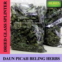 Gambar Daun Pecah Beling Per Gram / Keji Obat Herbal dari cam cam_oseng undefined 2 Tokopedia