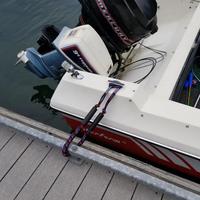 Gambar For Boat Kayak Jet Skiing 4ft Boat Docking Rope With Hooks Bungee dari Waroeng Rizal Fayyad undefined 3 Tokopedia