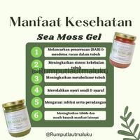 Gambar 500gr SEAMOSS GEL GREEN  green sea moss gel euchema cotoni seamos dari JORGEMA STORE undefined 2 Tokopedia