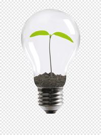 Gambar Philips Lampu Spotlight Essential LED MR16 GU 5.3 4.5W 36D Kuning dari Gallery Lampu undefined 2 Tokopedia