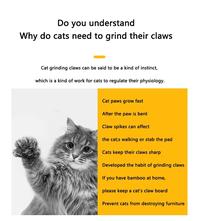 Gambar Cat Supplies Radio Cat Scratching Board Cat Litter Carton Vertical dari uhnbvga undefined 3 Tokopedia