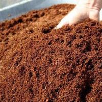 Gambar jual sekarung cocopeat karungan serbuk kelapa cocopeat wkibis 5663fd dari NOOOETA undefined 1 Tokopedia