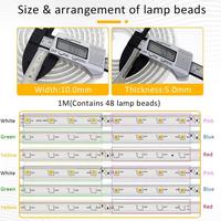 Gambar LAMPU LED 10M RGB SELANG STRIP 220V 8M WARNA WARNI 10 METER HIAS dari Rani kartini undefined 2 Tokopedia
