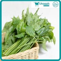 Gambar UKAAZH GROCERIES Daun Pohpohan Conventional 2 Ons dari Ukaazh undefined 1 Tokopedia