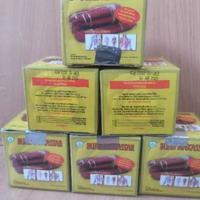 Gambar Herbal Buah Makasar Asli, Kapsul Buah Makassar Original Merah Putih , dari Hannar Store undefined 2 Tokopedia