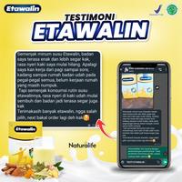 Gambar Paket 3 Box Susu Etawalin - Paket Sembuh Susu Sendi Atasi Radang Sendi dari SAVIMOR undefined 5 Tokopedia