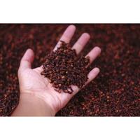 Gambar TERMURAH Cengkeh Super / Cloves / Cengkeh Kering Asli / Rempah dari Mampire undefined 2 Tokopedia